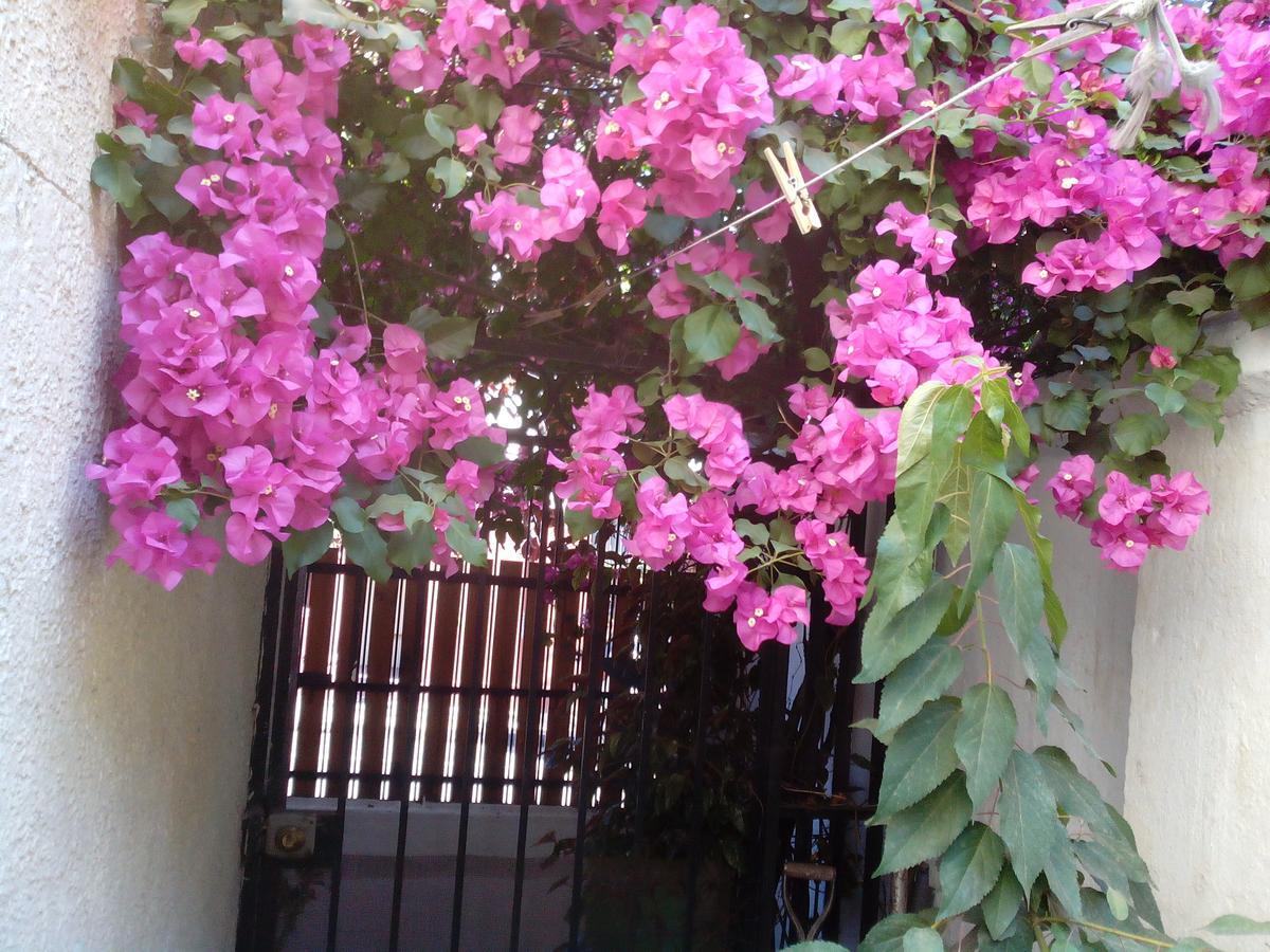 Alojamiento Alberto Magno Bed & Breakfast